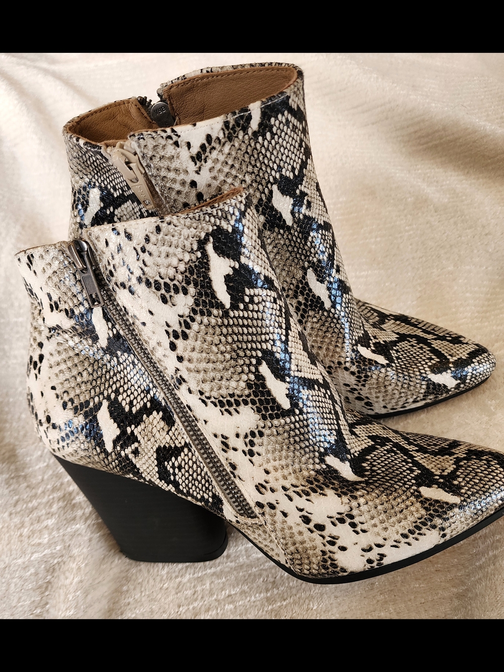 Seven Dials Snake-Print Ankle Boots in Black & Cream - Picture 2 of 4